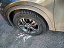 https://cdn.ecar.kz/content/media/photos/tyremodels/2366/xnq64i_michelin_x-ice_north_4_suv.jpeg